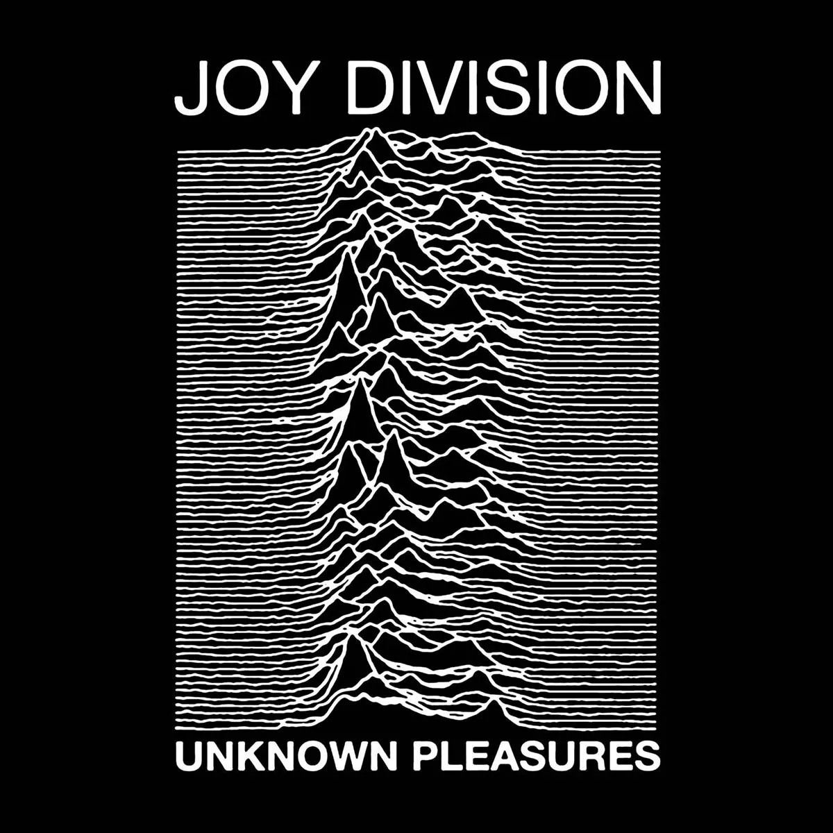 Unknown Pleasures album cover artwork